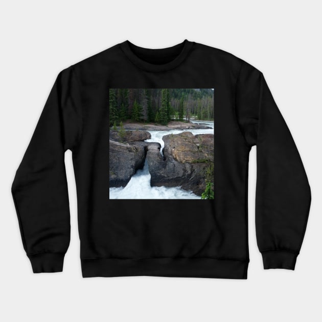 Natural Bridge Crewneck Sweatshirt by PLANTONE